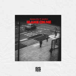 Blame On Me