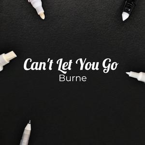 Can't Let You Go