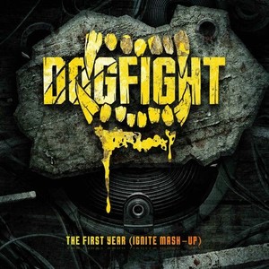 The First Year (Ignite Mashup)