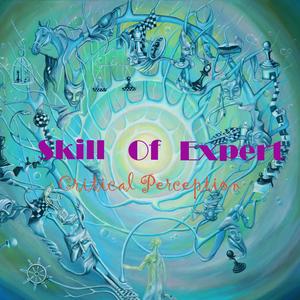 Skill Of Expert