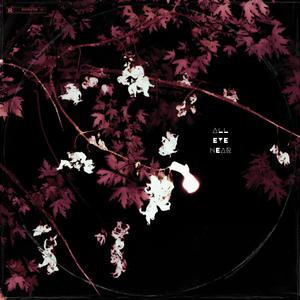 *****4head (Explicit)