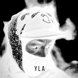 Y L A