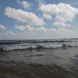 雷东 - 秋味漫进余光里_1755857108497