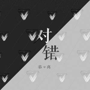 对错 (伴奏)