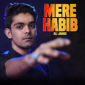 Aye Zainab O Kulsoom Khuda Hafiz