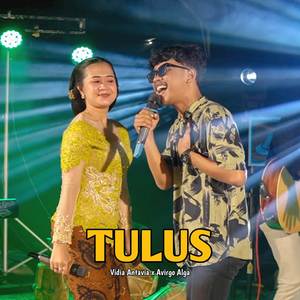 Tulus Ft Vidia Antavia