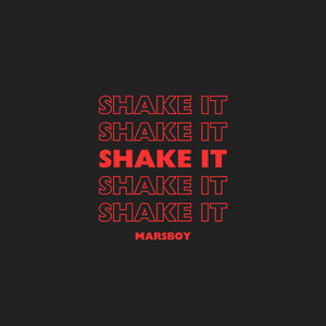 Shake It