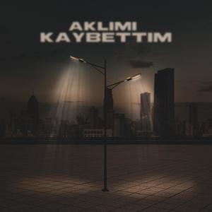 Aklımı Kaybettim