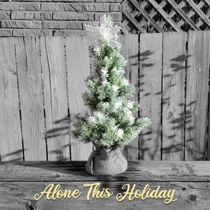 Alone This Holiday (Instrumental)
