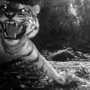 Make Him An Offer (feat. Nzoe Tha Demon) (Explicit)