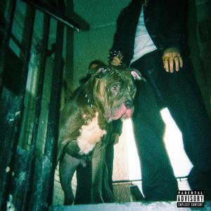 Bait (Explicit)