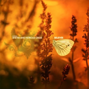 Believer (Extended Mix)