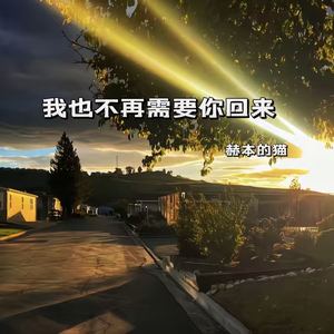 我也不再需要你回来