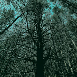horrors unspoken (Explicit)