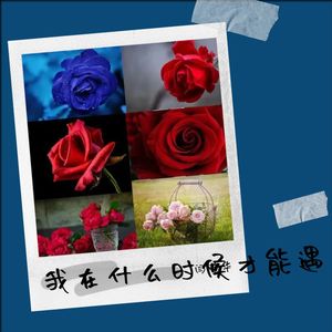 我在什么时候才能遇见你