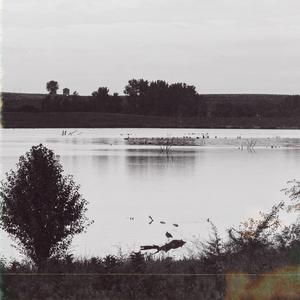 Taylor Carnell - you