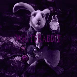 whiterabbit (feat. Heissy Luna) (Explicit)