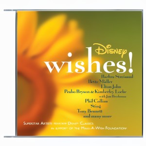 Disney Wishes!