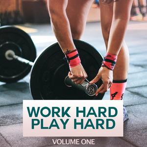 Work Hard Play Hard, Vol. 4 (No Excuses Today !)