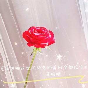 我想把这世间所有的美好全都给你