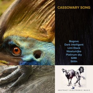 Cassowary Song