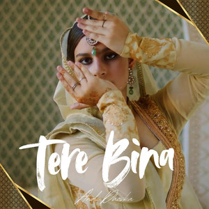 Tere Bina