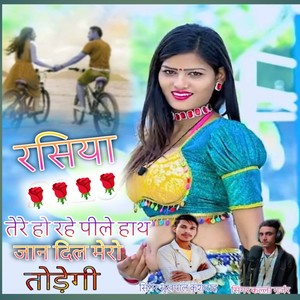 Tere Ho Rahe Pile Hath Jan Dil Mero Todegi