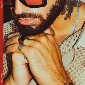 Félonie (Explicit)