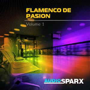 Flamenco de Pasión Volume 1