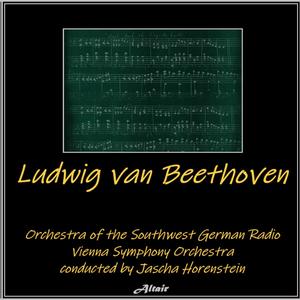 Ludwig Van Beethoven - Symphony NO. 3 in E-Flat Major, Op. 55: IV. Finale. Allegro Molto