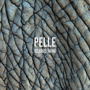 Pelle