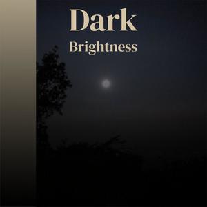 Dark Brightness