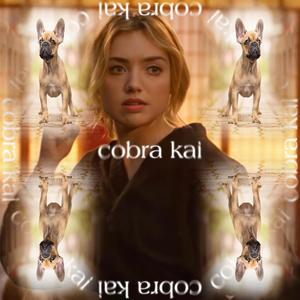 cobra kai (Explicit)