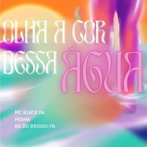 Olha a cor dessa água x Sai da frente do mano (feat. MC BLACK DA PENHA & DG DO BROOKLYN)