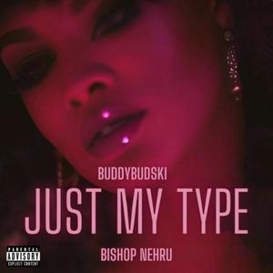 Just My Type (feat. Bishop Nehru) (Explicit)