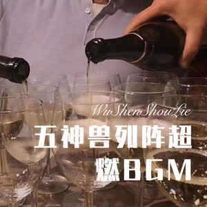 五神兽列阵超燃BGM (Remix)