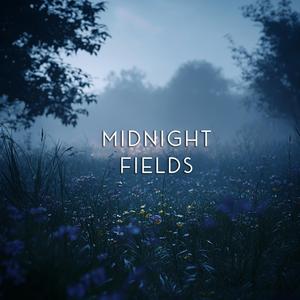 Quiet Chorus of Midnight Fields