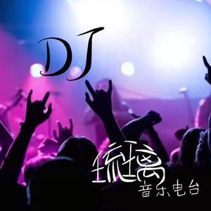 爱到流泪谁的罪（DJ何鹏版）张鑫雨