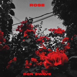 ROSE (Explicit)