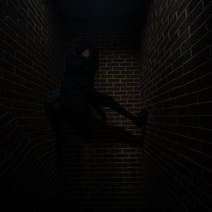 TopRopeHeem++ (Explicit)