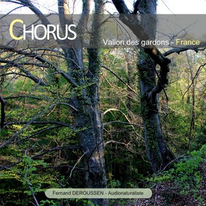 Chorus : Vallon des Gardons (France)