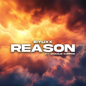 Reason (Radio Edit)