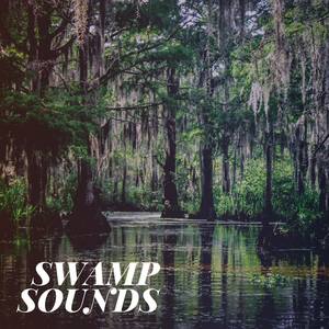 Swamp Sounds