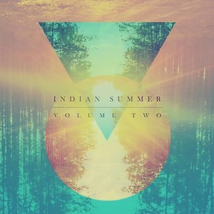 Indian Summer, Vol. Two (Signal Flow Contiuous Mix)