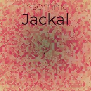 Insomnia Jackal