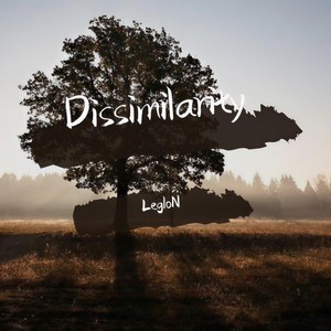 “Dissimilarity”不一样