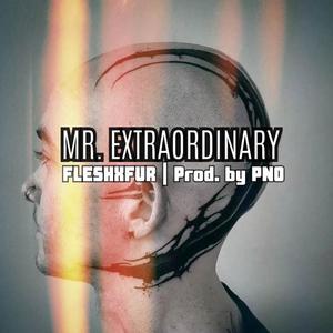 Mr. Extraordinary