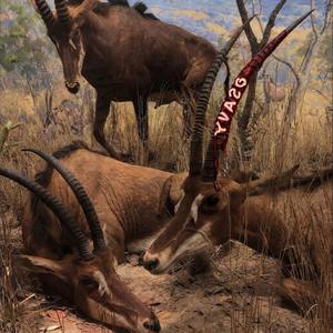 I NEED N (9) (Explicit)