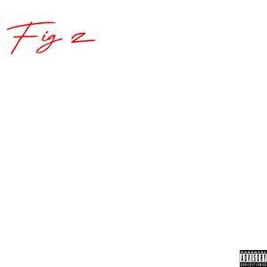 FIG Z (Explicit)