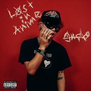 Lost in Anime (Explicit)